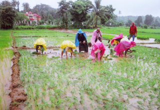PM for lab to field solutions in farm sector